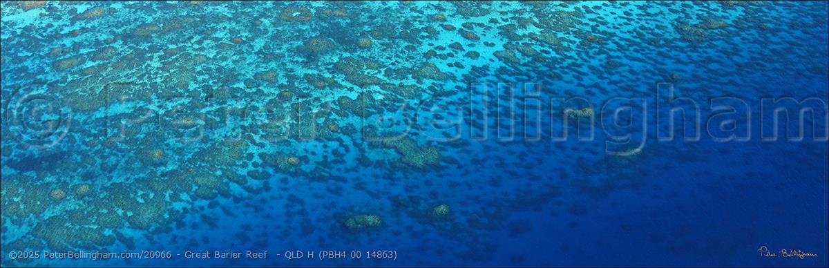 Peter Bellingham Photography Great Barier Reef - QLD H (PBH4 00 14863)